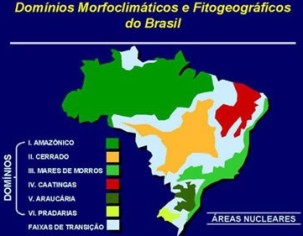 Mapa dos domínios naturais do Brasil