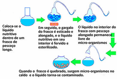 Na imagem acima podemos ver como Pasteur conduziu seus experimentos que sepultaram a teoria da abiogênese