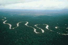 Rio Amazônia
