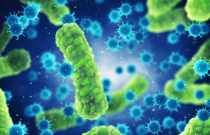 Vírus, bactérias e outros agentes podem causar infecções.