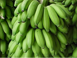 Banana verde O sabor adstringente da banana verde caracteriza as bases