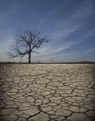 Seca A seca pode reduzir significativamente o número de indivíduos de uma população