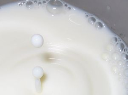 O leite contém glóbulos de gordura que são responsáveis por várias de suas principais funções e características