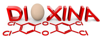 A dioxina é tóxica e pode se acumular no meio ambiente de diversas formas, como nos ovos dos animais