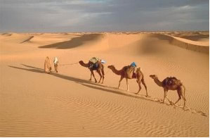 Deserto.