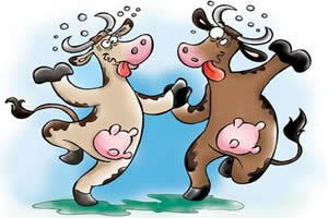 Ao contrário do que o nome sugere, as vacas acometidas pela BSE ficam retraídas e assustadas.