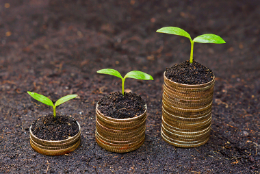 Desenvolvimento sustentável O desenvolvimento sustentável procura conciliar crescimento econômico e preservação natural