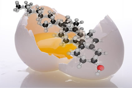 O ovo fornece colesterol ao organismo