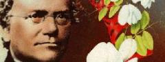 Gregor Mendel: o