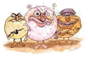 Bactérias que provocam a meningite