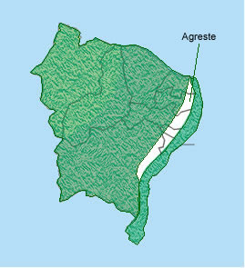 O Agreste se localiza entre o litoral e o sertão