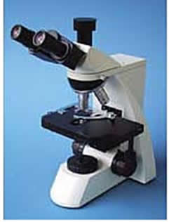 Microscópio composto