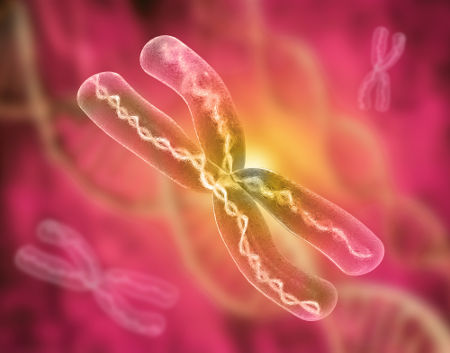 O cromossomo pode sofrer modificações em sua estrutura