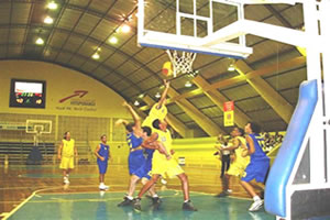 Basquete – Educação Física