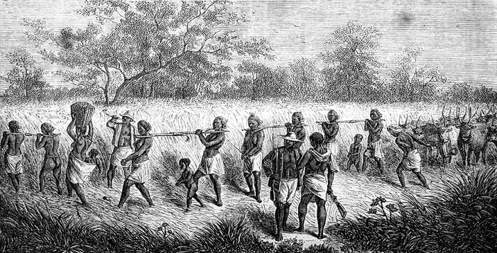 Escravidão A abolição do trabalho escravo no Brasil aconteceu de forma lenta e conservadora e só se concretizou em 1888