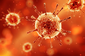 Os vírus são organismos considerados parasitas intracelulares obrigatórios