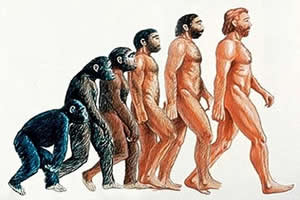 EVOLUINDO UM MACACO PARA O PRIMEIRO SER HUMANO