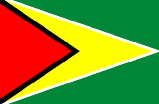Bandeira da Guiana.