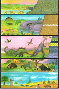 As Eras Geológicas.