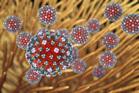 O vírus da gripe sofre muitas mutações