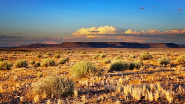 Kalahari, um dos mais famosos desertos do mundo