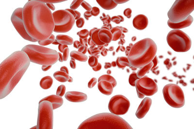 As hemácias são células do sangue que apresentam formato de disco bicôncavo