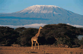 Monte Kilimanjaro: o ponto mais elevado da África