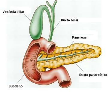 A pancreatite é uma inflamação no pâncreas.