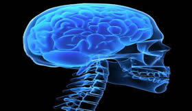 O tumor pode ocorrer em qualquer parte do cérebro.