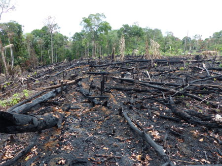 que problema ambiental está ocorrendo nesse local?​ 