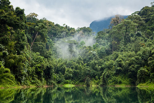 Nas regiões de clima equatorial, é comum encontrar florestas densas e intensa rede hidrográfica