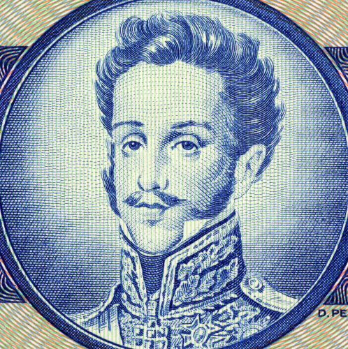 Pedro de Alcântara ou Dom Pedro foi o grande nome do processo de independência do Brasil *