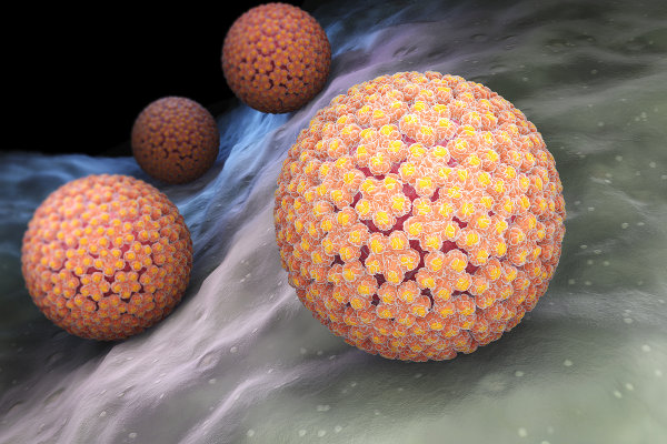 HPV é um vírus capaz de infectar pele e mucosas.