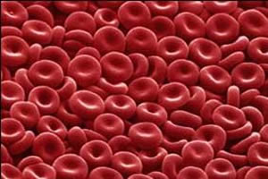 Hemácias: células sanguíneas produzidas pelo tecido hematopoiético