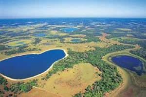 O Pantanal tem como principal característica sua capacidade de inundação.