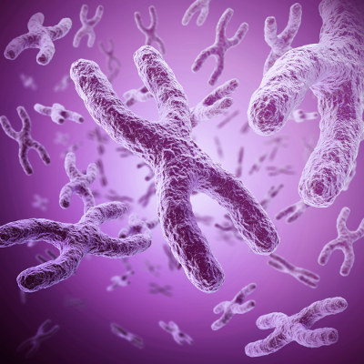 A aneuploidia é um tipo de alteração numérica em que ocorre o aumento ou diminuição de um tipo de cromossomo