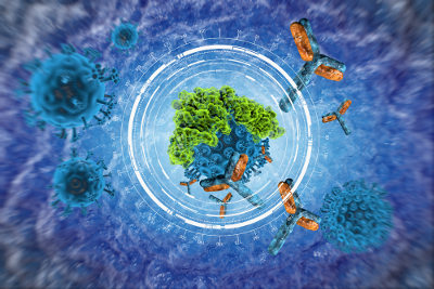 Os antígenos estimulam a produção de anticorpos