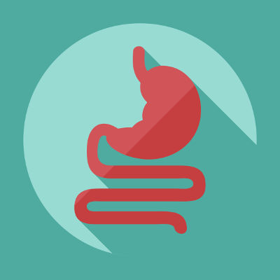 O quimo e o quilo são formados, respectivamente, no estômago e no intestino