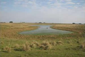 Paisagem típica dos pampas gaúchos.