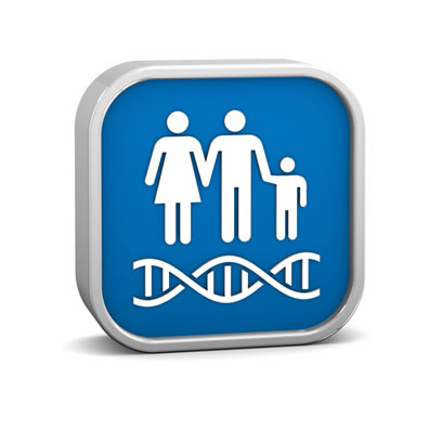 A primeira lei de Mendel nos diz que os descendentes recebem um alelo do par de genes que determina uma característica
