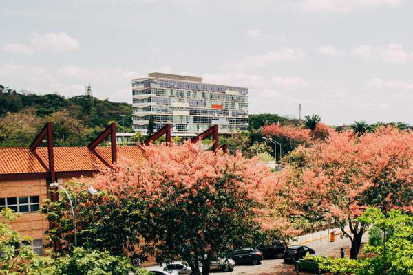 UFMG - Universidade Federal de Minas Gerais